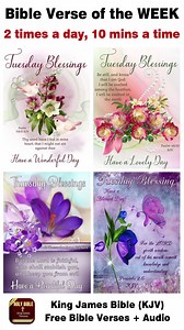 5.4K reactions · 1K shares | King James Bible. All for Free. 20 minutes a day, get Closer to God. | Light Bible | Facebook