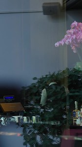 32K views · 36 reactions | The Bvlgari Cocktail: an icon in a glass​ An icon since its debut in 2004, the Bvlgari Cocktail has become a defining ritual of the Bvlgari Bar experience. Born in Milan and now available at all Bvlgari properties, it embodies a signature harmony of bitter and sweet, bold yet delicate. Presented in an exclusive Venini glass crafted only for Bvlgari Hotels & Resorts.​ A modern ritual. A timeless sip. | Bvlgari Hotels & Resorts | Facebook