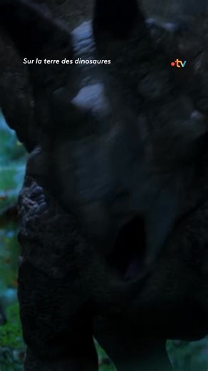 🦖 Il y a 66 millions d’années, dans les forêts du Crétacé, le tricératops et le tyrannosaure se livrent un combat sans merci. Le redoutable blindé de chair et de muscles, contre la plus féroce des machines à tuer. Dans ce duel de titans, lequel sortira vainqueur ? Racontée par José Garcia, cette série documentaire propose une immersion fascinante dans la vie sauvage du Crétacé et dévoile tout de ces géants disparus. 👉 Les 2 épisodes de « Sur la terre des dinosaures » sont à retrouver dès maint