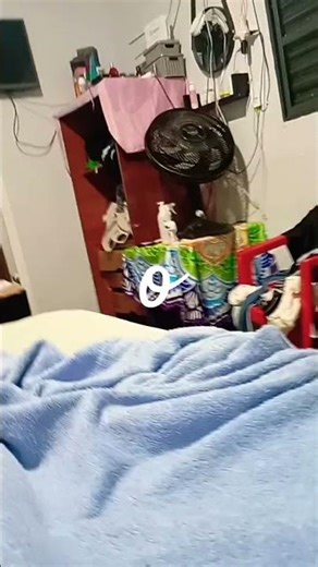 14 de dezembro de 2025