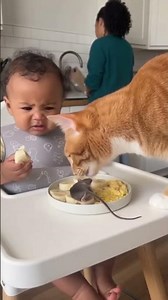 The Baby Didn’t Deserve This… 😭🐱