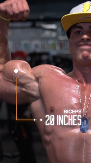 bodybuilding & strength on Instagram: "@nickyp3792 from 2017 absolutely killing it and put together brilliantly by @strengthnet as always 💪💪 #alphamuscle #muscles #musclestud #purepower #solidmuscle #muscleman #bodybuilding #massivemuscles #musclegod #beastmode #muscleworship #solidmuscle #viralreels #musclevideos #bodybuildingmotivation #purepower"