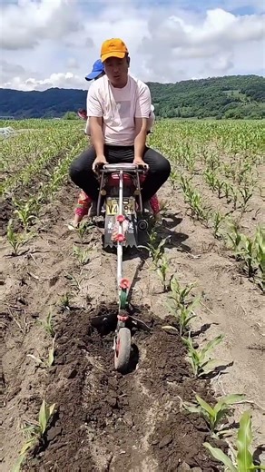 Revolutionizing Agriculture: The Future of Modern Farming #agriculture #modernfarming
