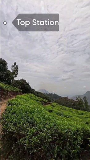 The Surreal Beauty of Munnar's Top Station & Echo Point
