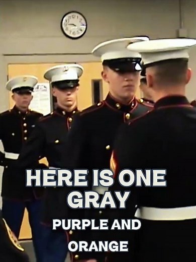 What is E3 in the Marine Corps? #usmc #usmarines #marinecorps