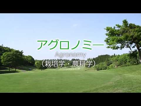 ゴルフ場を支えるコース管理【アコーディア・ゴルフ】