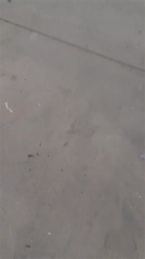 Car Body Repair Techniques for Beginners