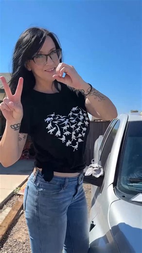 22 reactions | ROCK CHIP REPAIR! Picked up this kit from Advance Auto Parts it was only $19! They have something for every repair Team Sally Racing_GGS_CUT | Restoration-BMG | Facebook