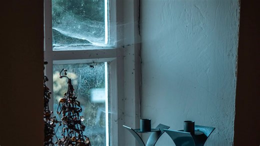 Five ways to stop spiders entering your home this autumn, according to experts