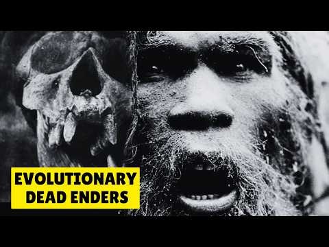 The Dwarf Hominin Mystery That Just Got Weirder