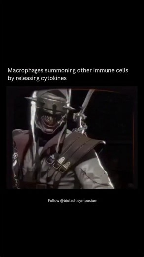 Saksham Bhatia on Instagram: "When macrophages detect pathogens (like bacteria or viruses), they don’t just engulf and destroy them — they also act as alarm systems for the immune system. 🧩 How it works: 1. Detection: 🕵️ Macrophages recognize the pathogen using receptors (like Toll-like receptors). 2. Activation: 🚀 They become activated and start releasing cytokines — small signaling proteins such as interleukins (IL-1, IL-6) and tumor necrosis factor-alpha (TNF-α). 3. Summoning reinforcement