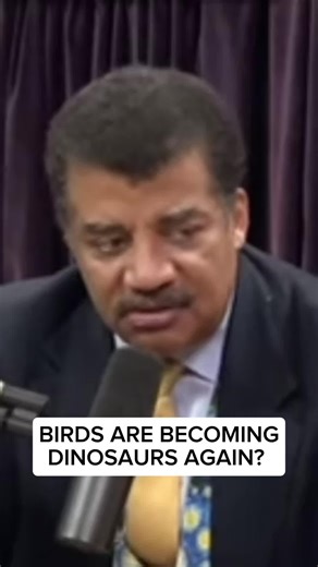 Birds Evolving Back into Dinosaurs: Unbelievable Science