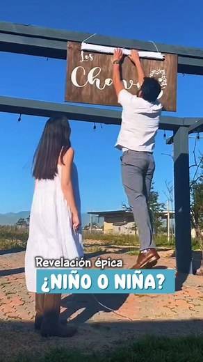 96K views · 692 reactions | ¿Team rosa o team azul?  #pasteleria #pasteles #pastel #torta #reposteria #caketutorial #cakedecorating #cakedesign #pastelestematicos #pastelespersonalizados #pastelesdecorados #tortastematicas #tortaspersonalizadas #tortasdecoradas | Reposteria y Pasteleria | Facebook