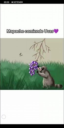 Mapache uwu comiendo uvas 🍇 #mapache #uva #digitalart #ilustraciondigital #hola #uwu #holadenuevo