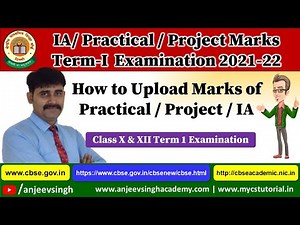 How to upload Class 12 Practical IA Project Marks