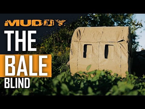 The Bale Blind