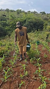 Single teacher pa rural | Zambian Teachers Corner