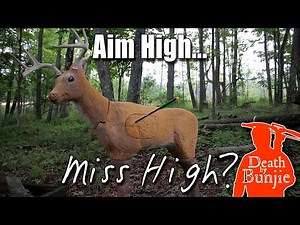 Should You AIM HIGH Out of a Treestand with Your CROSSBOW?