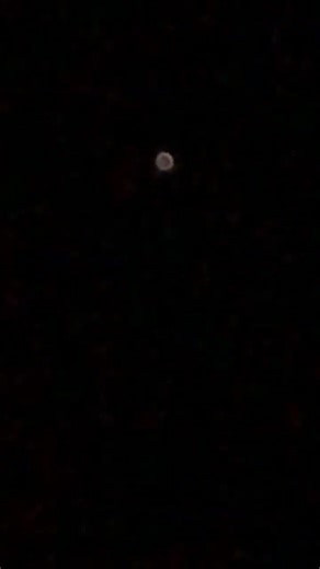 ALIENS SOUNDS 💀#alien