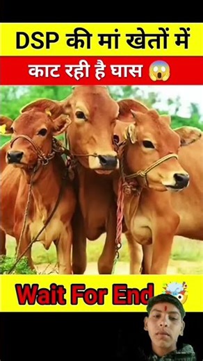 dsp #train #shortvideo 😲😲😲♥️♥️👈👈