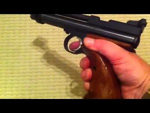 Crosman 2240 custom converted to 177 with target grips