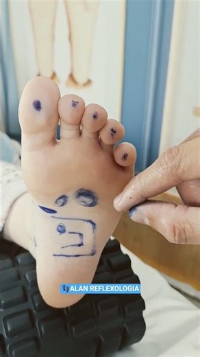 Blood Circulation - Reflexology in Practice #reflexology #reflexotherapy