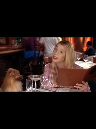 Dónde están las rubias (2004) 🎥 #parati #fyp #netflix #peliculas #dondeestanlasrubias