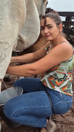 Fresh Cow Milking in Village | Pure Organic Farm Life 🐄🥛 #villagelife #agro #rurallife #cow