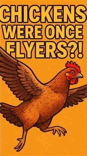 why chickens can't fly #facts #infoknow #info #animals #newinfo #animalfacts #reelchallenge