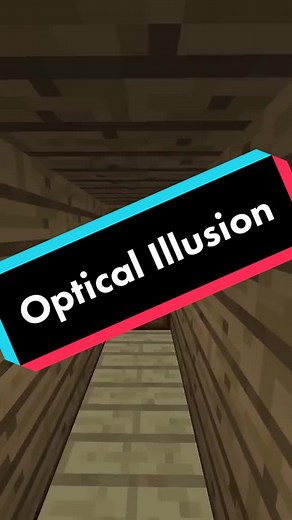 Mesmerizing Minecraft Optical Illusion
