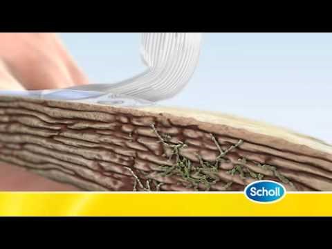 Scholl Fungal Nail Treatment