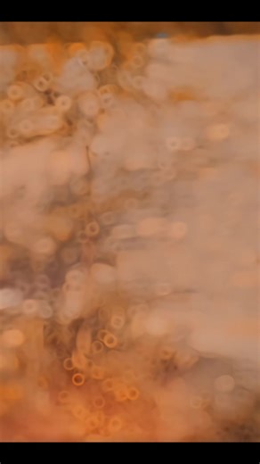 Song❤️🌹#viralvideo #ppppppppppppppppppp