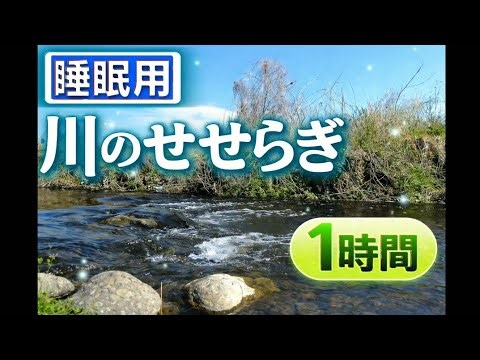 【睡眠用】川のせせらぎでぐっすり眠れる｜自然音・リラックス（1時間）（River Sounds for Sleep）