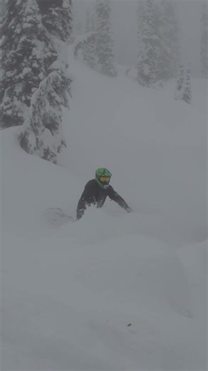 ‪@Ljp116‬whipping his ‪@skidoo‬ right into a little tree #skidoo #snowmobile #snowmobiling #sledding