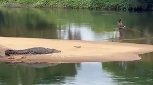 Authorities frustrated after man filmed fishing metres from crocodile in Far North Queensland