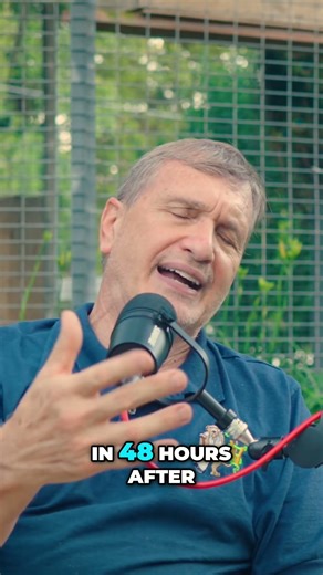 Urinary Blockage vs Constipation: How to Save Your Cat's Life #shorts