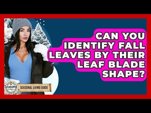 Can You Identify Fall Leaves By Their Leaf Blade Shape? - Seasonal Living Guide