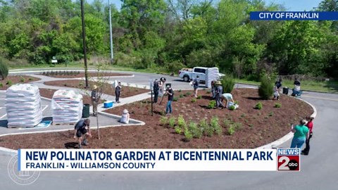 New pollinator garden at Bicentennial Park