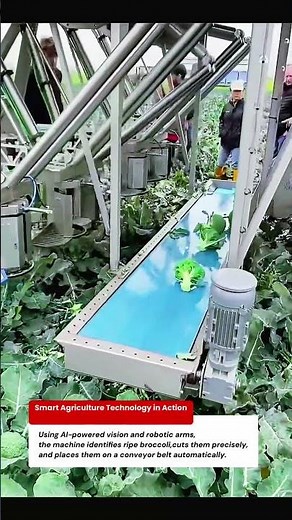 Amazing Broccoli Harvesting Robot | Smart Agriculture Technology in Action