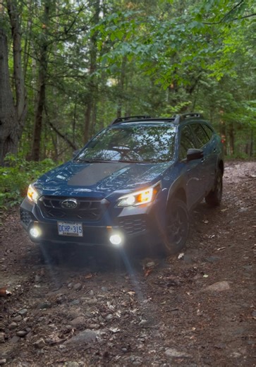 Subaru Outback Wilderness: Recycled Clips in Action
