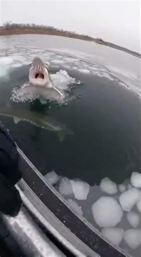 NOPE This Is Why We're NEVER Boating on Ice AGAIN! 🥶