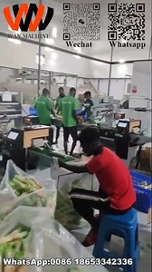 NEW STYLE-Three color puff sanck making machine #extrudermachine#extruder