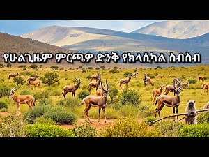 Best Ethiopia Classical Music Collection ምርጥ የክላሲካል ስብስብ