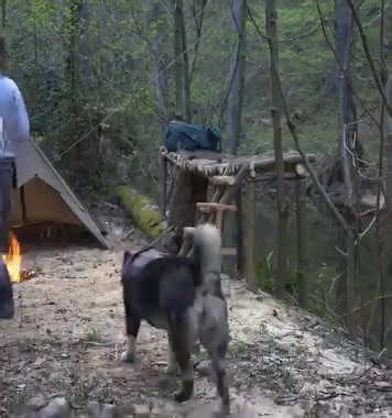 4.5K views · 13 reactions | Survival camping fishing catch and cook bushcraft tarp shelter | Bushcraft Travel & Adventure | Facebook