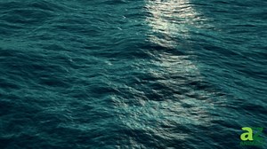 The Megalodon Was Truly a Massive Monster of the Sea