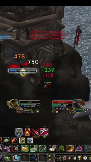 This twink destroys lvlers BM Hunter 70lvl WOTLK #warmane #pvpwowwotlk