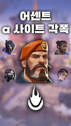 어센트 a 사이트 공용 각폭
