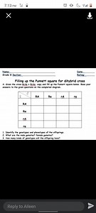 Filling up the Punnett Square for Dihybrid CrossGiven the cro... | Filo