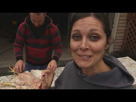 How to Butcher a Chicken