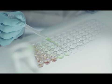 Testing Channel data